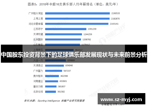 中国股东投资背景下的足球俱乐部发展现状与未来前景分析