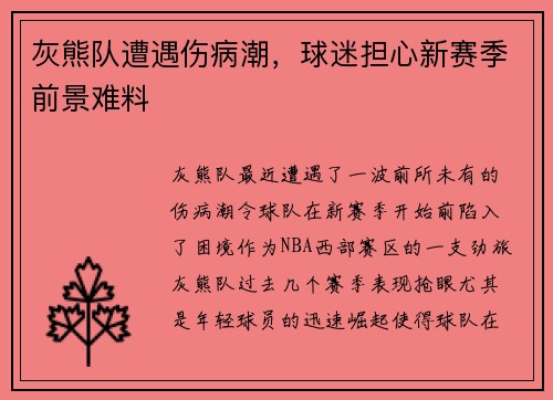 灰熊队遭遇伤病潮，球迷担心新赛季前景难料